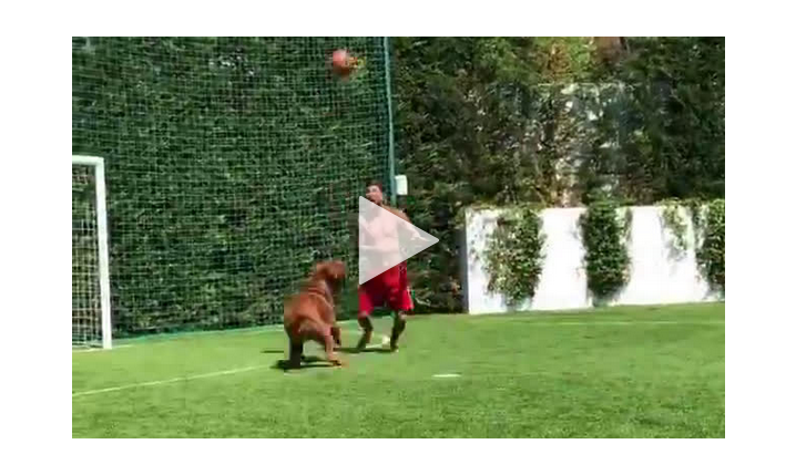 Messi i jego zabawa z psem :D [VIDEO]